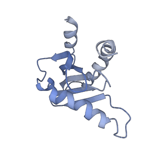 26861_7uxh_g_v1-3
cryo-EM structure of the mTORC1-TFEB-Rag-Ragulator complex