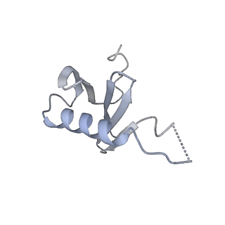 26861_7uxh_h_v1-3
cryo-EM structure of the mTORC1-TFEB-Rag-Ragulator complex