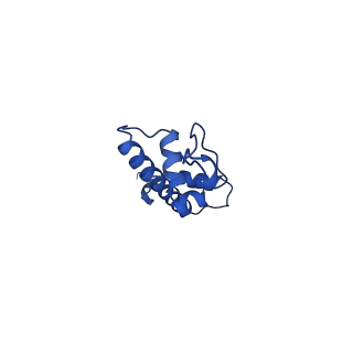 42685_8ux1_G_v1-0
Cryo-EM structure of Ran bound to RCC1 and the nucleosome core particle