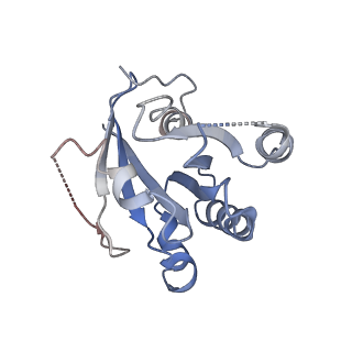42685_8ux1_K_v1-0
Cryo-EM structure of Ran bound to RCC1 and the nucleosome core particle