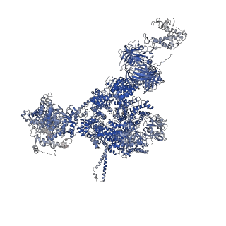42759_8uxc_A_v1-0
Structure of PKA phosphorylated human RyR2-R420Q in the primed state