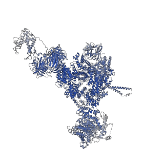 42759_8uxc_B_v1-0
Structure of PKA phosphorylated human RyR2-R420Q in the primed state