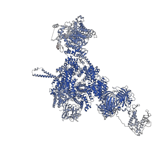 42759_8uxc_D_v1-0
Structure of PKA phosphorylated human RyR2-R420Q in the primed state