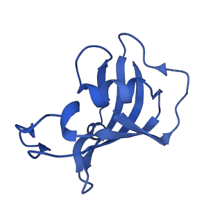 42759_8uxc_H_v1-0
Structure of PKA phosphorylated human RyR2-R420Q in the primed state