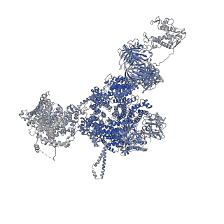 42761_8uxe_A_v1-0
Structure of PKA phosphorylated human RyR2-R420Q in the closed state in the presence of ARM210