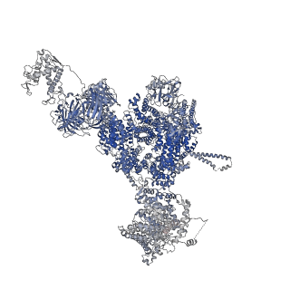 42761_8uxe_B_v1-0
Structure of PKA phosphorylated human RyR2-R420Q in the closed state in the presence of ARM210