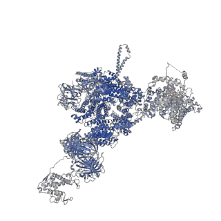 42761_8uxe_C_v1-0
Structure of PKA phosphorylated human RyR2-R420Q in the closed state in the presence of ARM210