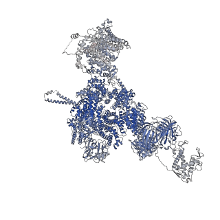 42761_8uxe_D_v1-0
Structure of PKA phosphorylated human RyR2-R420Q in the closed state in the presence of ARM210