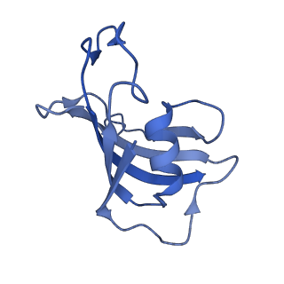 42761_8uxe_G_v1-0
Structure of PKA phosphorylated human RyR2-R420Q in the closed state in the presence of ARM210