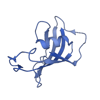 42761_8uxe_H_v1-0
Structure of PKA phosphorylated human RyR2-R420Q in the closed state in the presence of ARM210