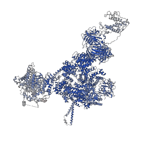42762_8uxf_A_v1-0
Structure of PKA phosphorylated human RyR2-R420W in the primed state