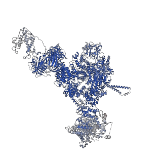 42762_8uxf_B_v1-0
Structure of PKA phosphorylated human RyR2-R420W in the primed state