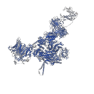 42763_8uxg_A_v1-0
Structure of PKA phosphorylated human RyR2-R420W in the closed state in the presence of ARM210