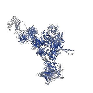 42763_8uxg_B_v1-0
Structure of PKA phosphorylated human RyR2-R420W in the closed state in the presence of ARM210