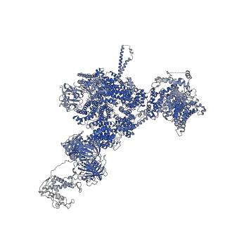 42763_8uxg_C_v1-0
Structure of PKA phosphorylated human RyR2-R420W in the closed state in the presence of ARM210