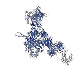 42763_8uxg_D_v1-0
Structure of PKA phosphorylated human RyR2-R420W in the closed state in the presence of ARM210