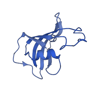 42763_8uxg_F_v1-0
Structure of PKA phosphorylated human RyR2-R420W in the closed state in the presence of ARM210
