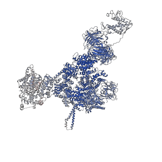 42764_8uxh_A_v1-0
Structure of PKA phosphorylated human RyR2-R420W in the primed state in the presence of calcium