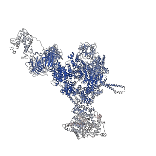 42764_8uxh_B_v1-0
Structure of PKA phosphorylated human RyR2-R420W in the primed state in the presence of calcium