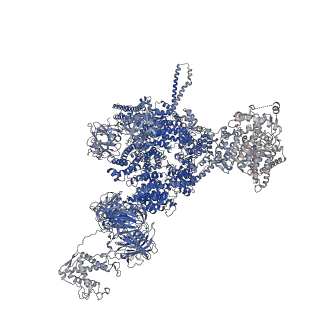 42764_8uxh_C_v1-0
Structure of PKA phosphorylated human RyR2-R420W in the primed state in the presence of calcium