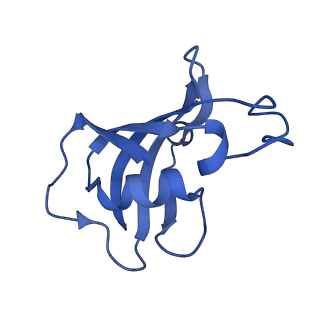 42768_8uxl_F_v1-0
Structure of PKA phosphorylated human RyR2-R420W in the primed state in the presence of calcium and calmodulin