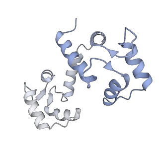 42768_8uxl_I_v1-0
Structure of PKA phosphorylated human RyR2-R420W in the primed state in the presence of calcium and calmodulin