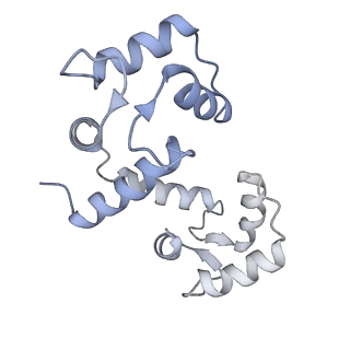 42768_8uxl_J_v1-0
Structure of PKA phosphorylated human RyR2-R420W in the primed state in the presence of calcium and calmodulin