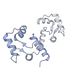42768_8uxl_K_v1-0
Structure of PKA phosphorylated human RyR2-R420W in the primed state in the presence of calcium and calmodulin