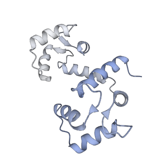 42768_8uxl_L_v1-0
Structure of PKA phosphorylated human RyR2-R420W in the primed state in the presence of calcium and calmodulin