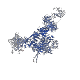 42769_8uxm_A_v1-0
Structure of PKA phosphorylated human RyR2-R420W in the open state in the presence of calcium and calmodulin