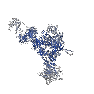42769_8uxm_B_v1-0
Structure of PKA phosphorylated human RyR2-R420W in the open state in the presence of calcium and calmodulin
