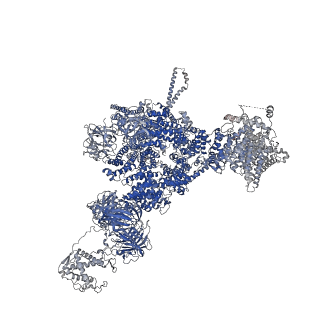 42769_8uxm_C_v1-0
Structure of PKA phosphorylated human RyR2-R420W in the open state in the presence of calcium and calmodulin