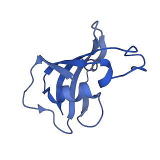 42769_8uxm_F_v1-0
Structure of PKA phosphorylated human RyR2-R420W in the open state in the presence of calcium and calmodulin