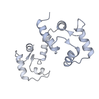 42769_8uxm_I_v1-0
Structure of PKA phosphorylated human RyR2-R420W in the open state in the presence of calcium and calmodulin