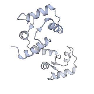 42769_8uxm_J_v1-0
Structure of PKA phosphorylated human RyR2-R420W in the open state in the presence of calcium and calmodulin