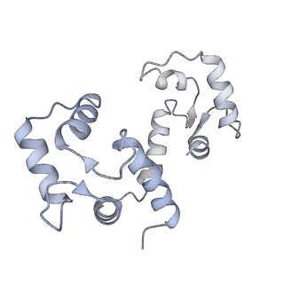 42769_8uxm_K_v1-0
Structure of PKA phosphorylated human RyR2-R420W in the open state in the presence of calcium and calmodulin