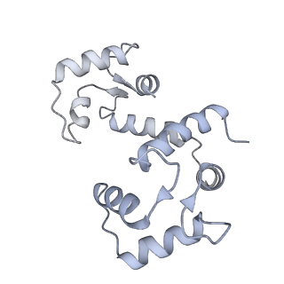 42769_8uxm_L_v1-0
Structure of PKA phosphorylated human RyR2-R420W in the open state in the presence of calcium and calmodulin