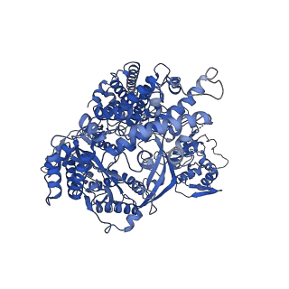 26863_7uy5_A_v1-2
Tetrahymena telomerase with CST