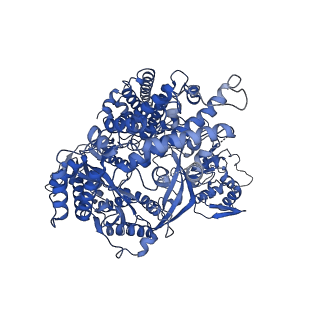 26863_7uy5_A_v1-3
Tetrahymena telomerase with CST