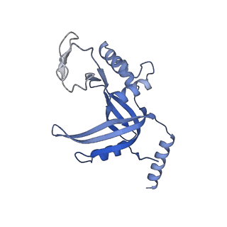 26863_7uy5_D_v1-2
Tetrahymena telomerase with CST