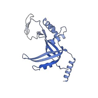 26863_7uy5_D_v1-3
Tetrahymena telomerase with CST