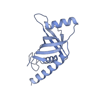 26863_7uy5_E_v1-2
Tetrahymena telomerase with CST