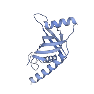 26863_7uy5_E_v1-3
Tetrahymena telomerase with CST