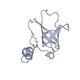 26863_7uy5_F_v1-2
Tetrahymena telomerase with CST