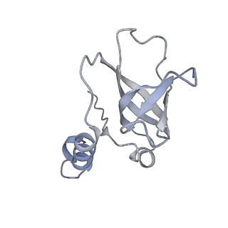 26863_7uy5_F_v1-3
Tetrahymena telomerase with CST