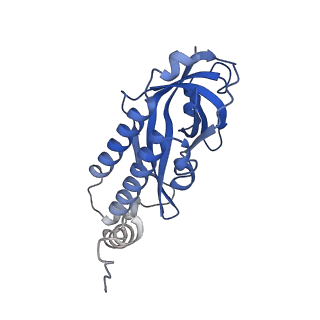 26863_7uy5_G_v1-2
Tetrahymena telomerase with CST