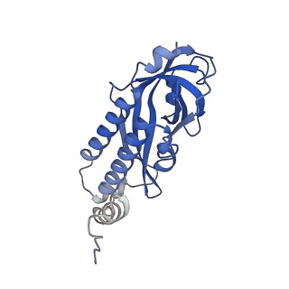 26863_7uy5_G_v1-3
Tetrahymena telomerase with CST