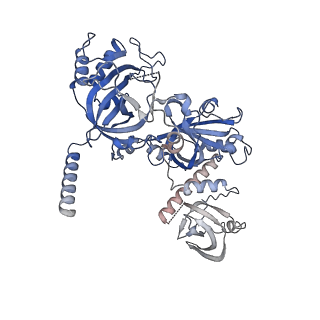 26863_7uy5_I_v1-2
Tetrahymena telomerase with CST