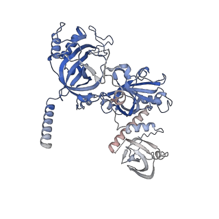 26863_7uy5_I_v1-3
Tetrahymena telomerase with CST