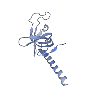 26863_7uy5_J_v1-2
Tetrahymena telomerase with CST